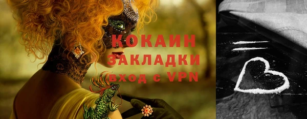 ГАЛЛЮЦИНОГЕННЫЕ ГРИБЫ Белокуриха