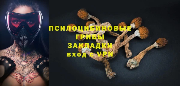 стаф Беломорск