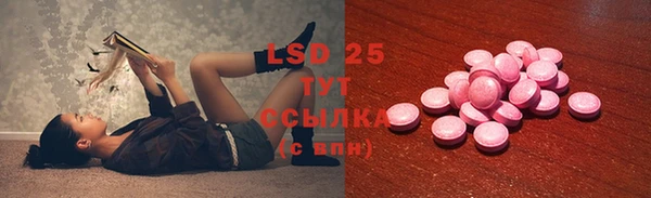 ГАЛЛЮЦИНОГЕННЫЕ ГРИБЫ Белокуриха