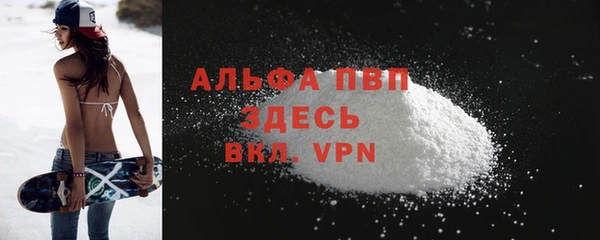 ГАЛЛЮЦИНОГЕННЫЕ ГРИБЫ Белокуриха