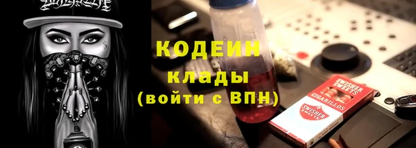 ГАЛЛЮЦИНОГЕННЫЕ ГРИБЫ Белокуриха