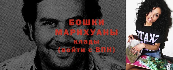 ГАЛЛЮЦИНОГЕННЫЕ ГРИБЫ Белокуриха