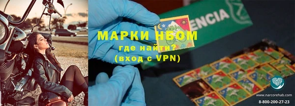 ГАЛЛЮЦИНОГЕННЫЕ ГРИБЫ Белокуриха
