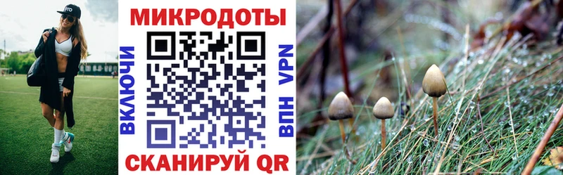 Псилоцибиновые грибы ЛСД  даркнет какой сайт  Красный Холм 